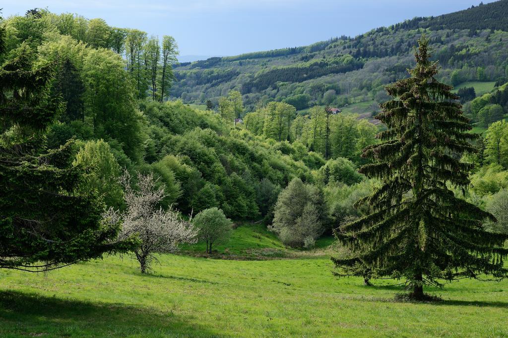 Отель Vvf Les Fontaines Des Vosges Saales Экстерьер фото